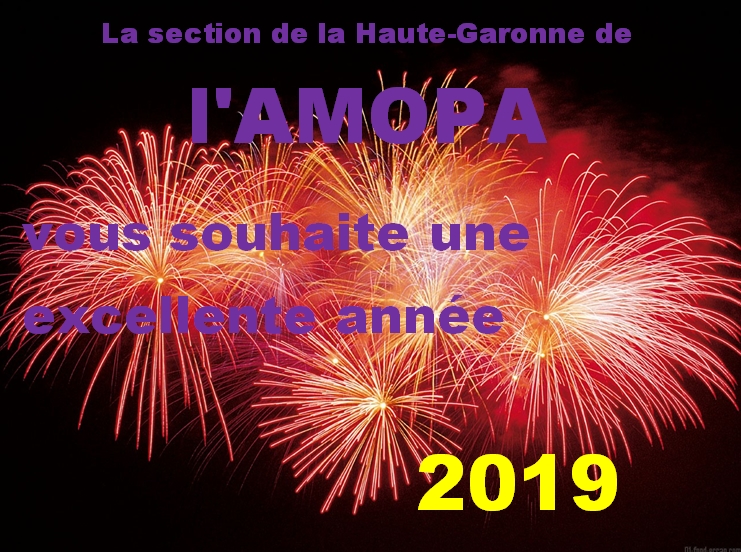 Voeux 2019