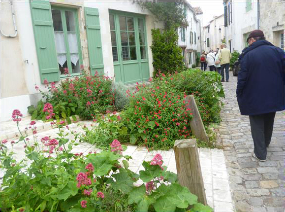 Dans les venelles de Saint Martin de Ré