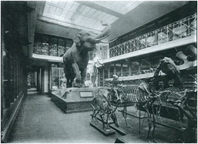 Salle Edouard-Filhol (avant travaux)